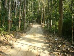 nawabganj-national-forest2