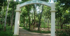satchari-national-park1